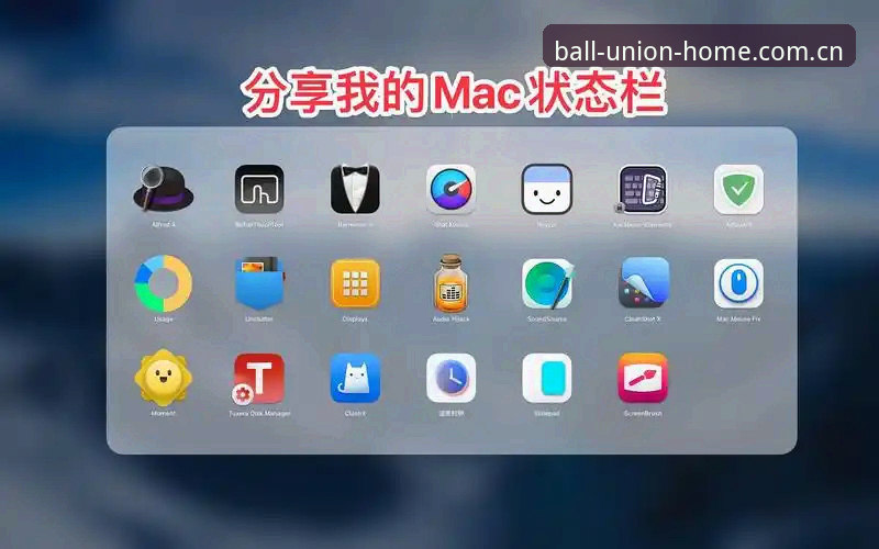 资深用户亲测分享：球盟会无缝体验的深度解析与使用心得